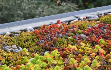 the cost of Weston Jones green roof installation